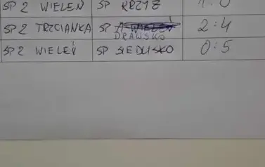Wicemistrzynie Powiatu z awansem do zawod&oacute;w rejonowych! 13