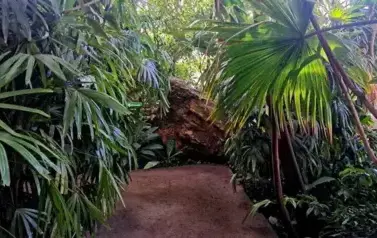 566566247_779173458443189_6833392214113271457_n
