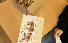 Leśne lekcje z Nadleśnictwem Smolarz  5