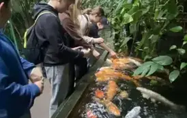567084097_1832686330674338_529740171908945292_n