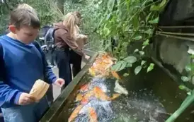 567612045_1348756360120873_6655856736833823270_n