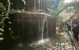 566477055_852929047692720_5903373190089669997_n