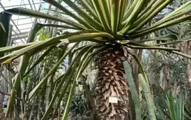 556683870_1489069882456326_8804130882216490202_n