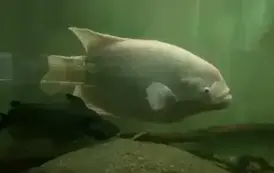 566425136_1281820850638769_9100404064607325414_n